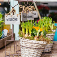 Mental Health Week: Mental Illness Treatment Programs in Canada and Community Gardens